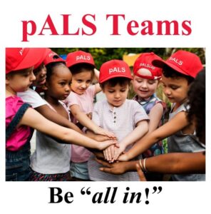 pALScap_kids_ball_team Be All
