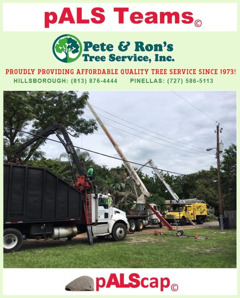 Pete and Rons Tree Service Tampa Bay pALSteam